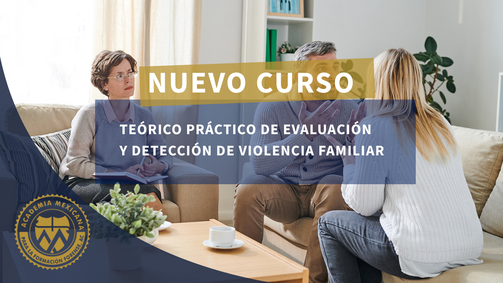 Curso Teóricos práctico de evaluación y detección de Violenacia Familiar