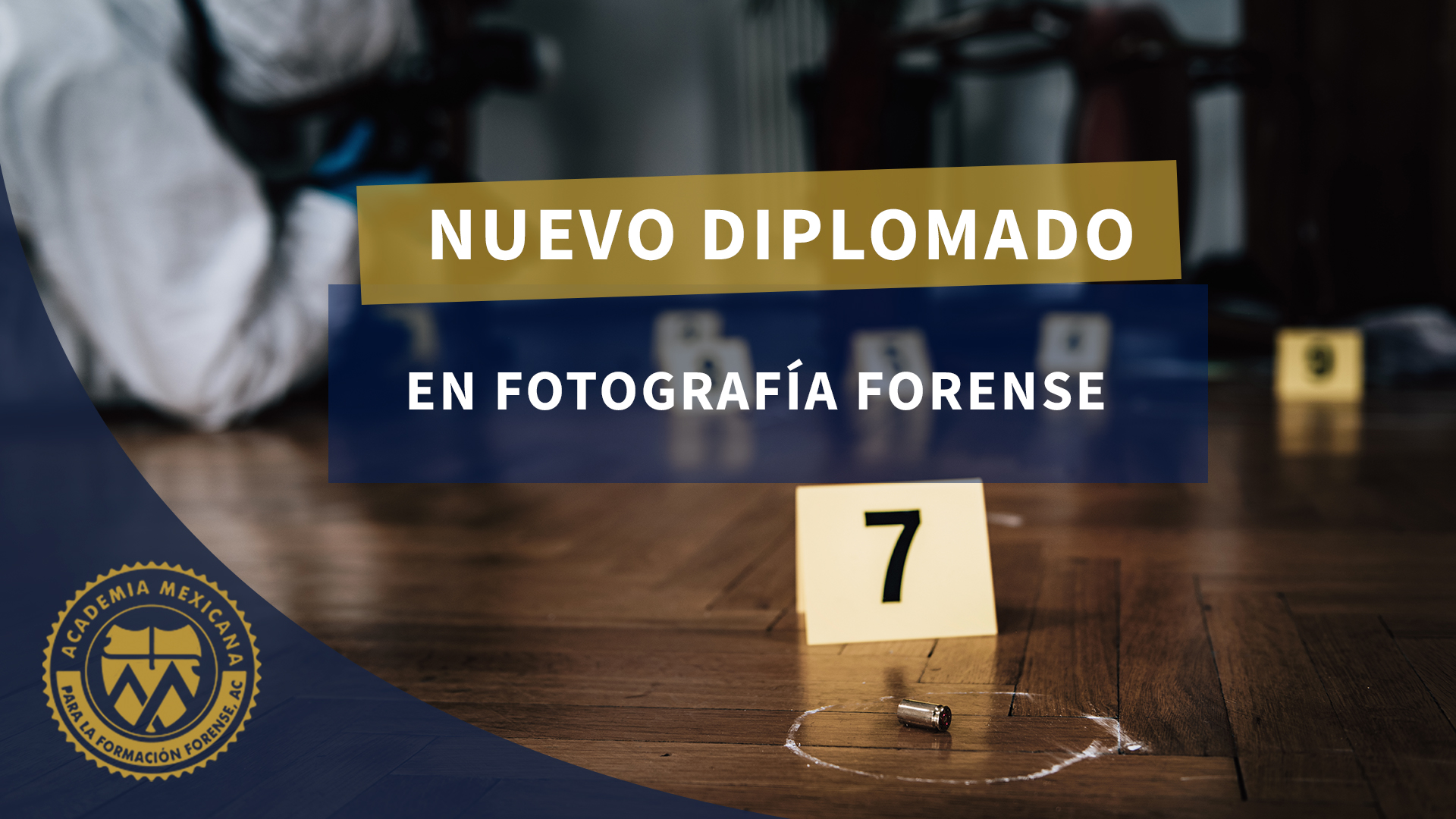 Diploamdo en Fotografía forense